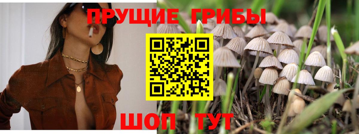 Псилоцибиновые грибы MAGIC MUSHROOMS Борзя
