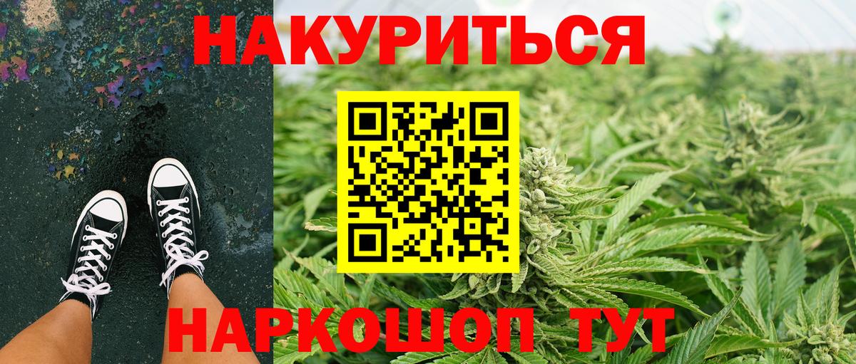 Каннабис гибрид Борзя